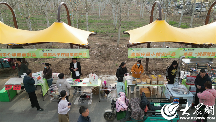 匠心傳承，共富同行 廣饒縣李鵲鎮“好品李鵲共富市集”上的麥秸畫藝術